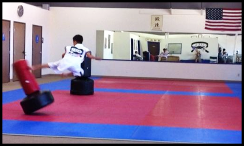 taekwondo flying side kick