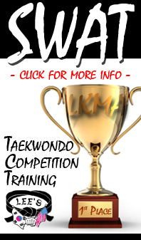 taekwondo olympic sparring training